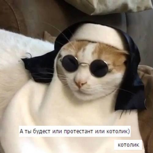 oWRKfgoJkdk.jpg